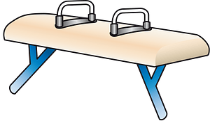 Pommel horse