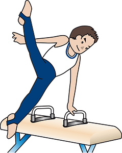 Pommel horse