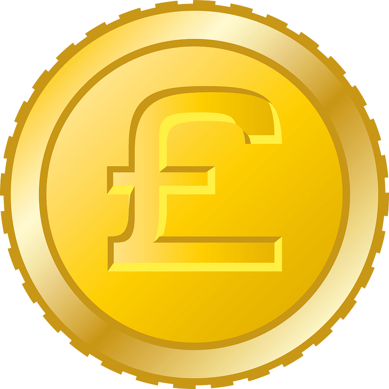 Pound coin