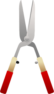 Pruning scissors