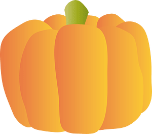 Pumpkin vegetable