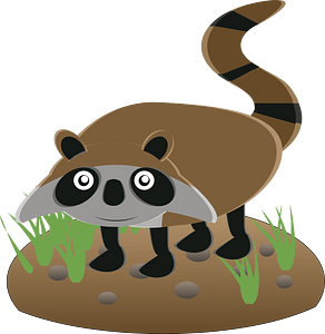 Raccoon dog