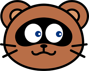 Raccoon face