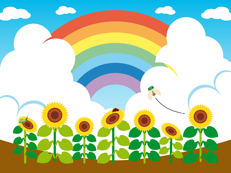 Rainbow sunflower