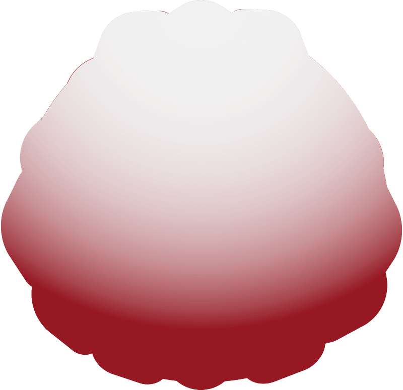 覆盆子