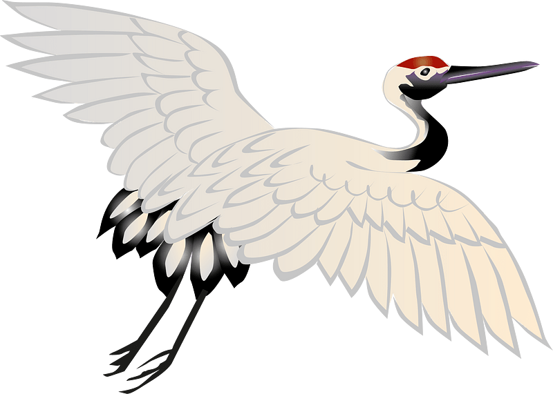Red crowned crane