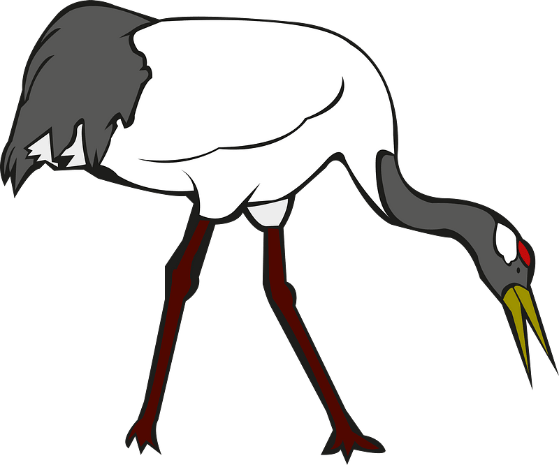 Red crowned crane