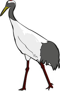 Red crowned crane