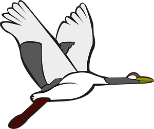 Red crowned crane