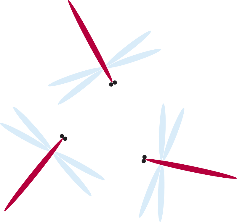 Red dragonflies
