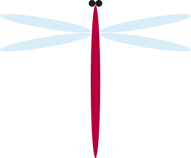 Red dragonfly