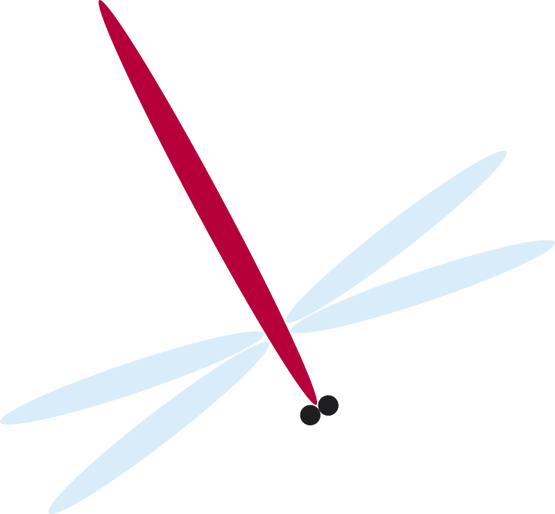 Red dragonfly