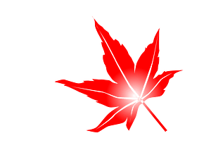 Red leave