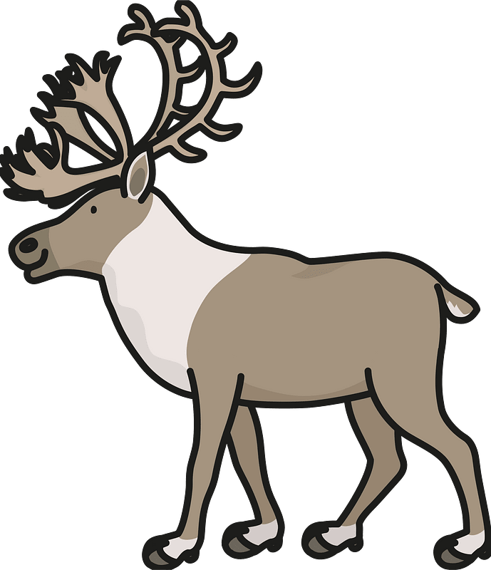 Reindeer christmas