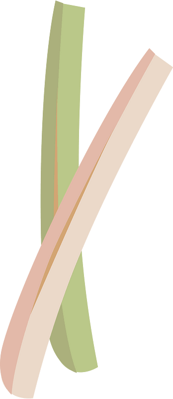Rhubarb