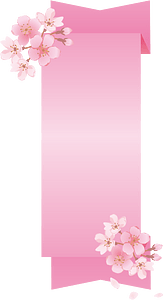 Ribbon cherry blossoms