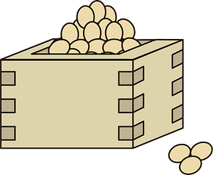 Roasted soybeans