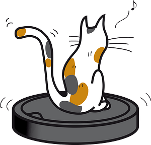 Robot cleaner cat
