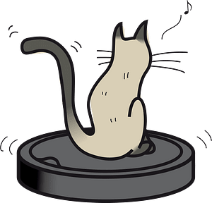 Robot cleaner cat
