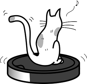 Robot cleaner cat