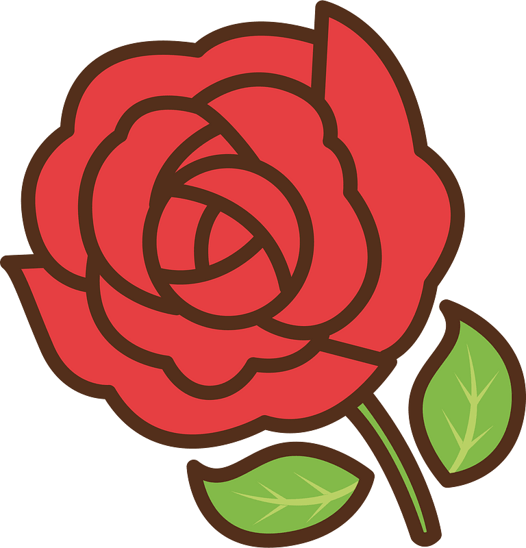 Roses flower