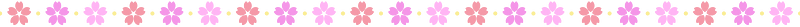 Sakura decoration