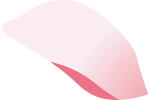 Sakura petal