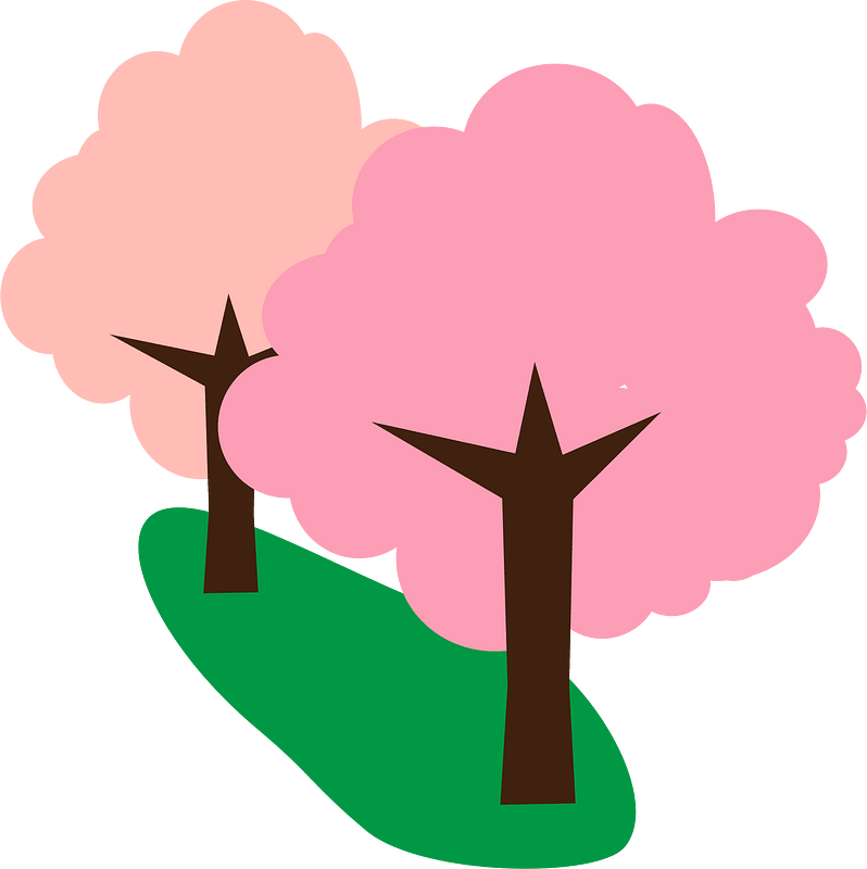 Sakura tree