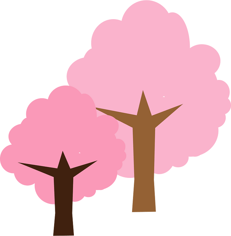 Sakura tree