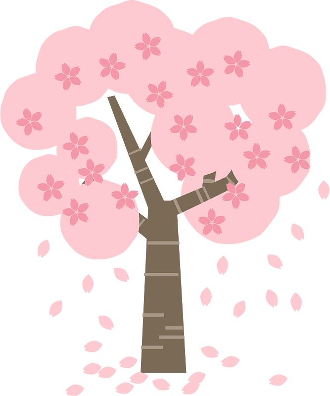 Sakura tree