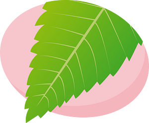 Sakuramochi wagashi