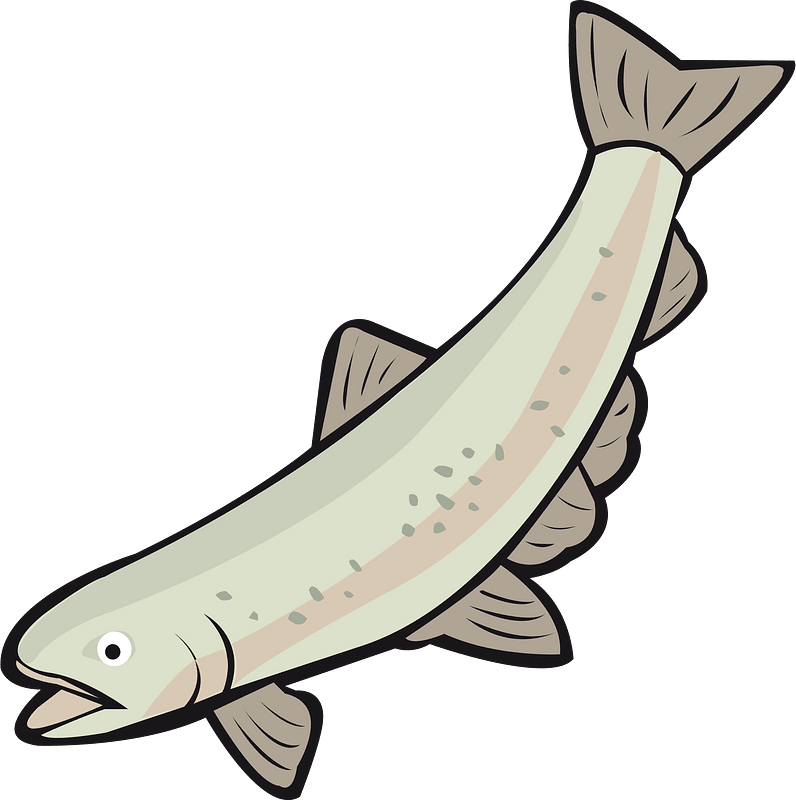 Salmon