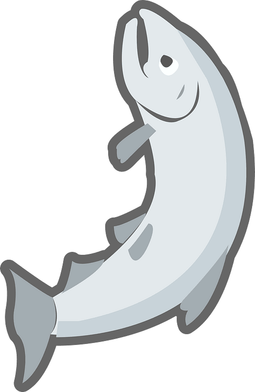 Salmon