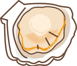 Scallop