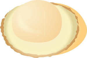Scallop