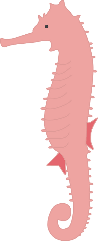 海馬