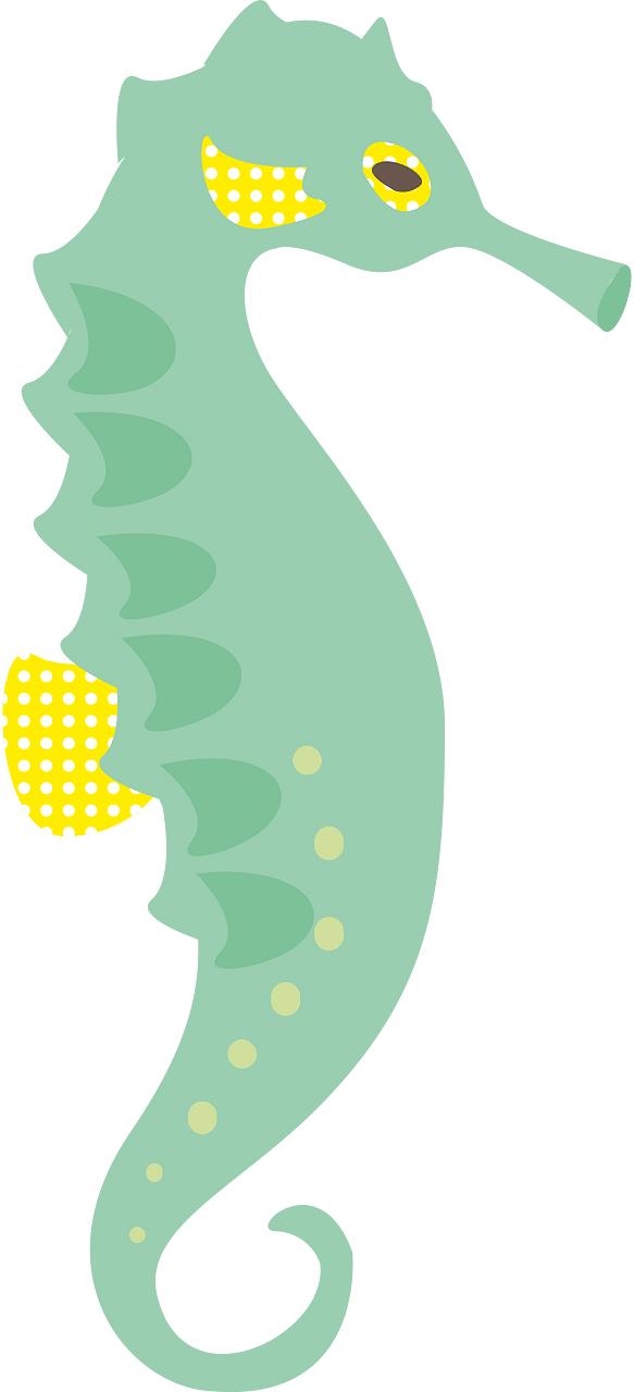 Seahorse