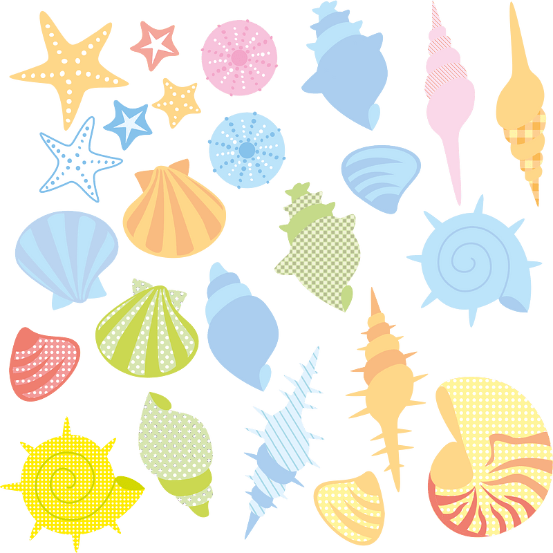 Seashell starfish