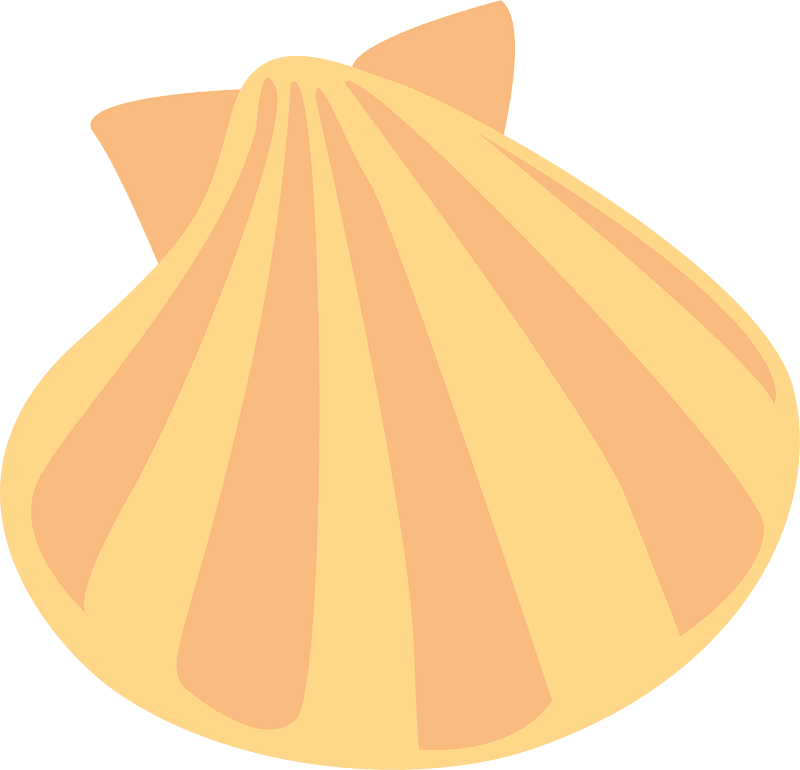 Kerang laut