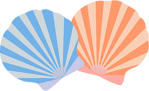 Shells set