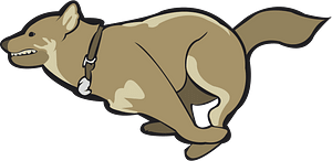 Shiba inu