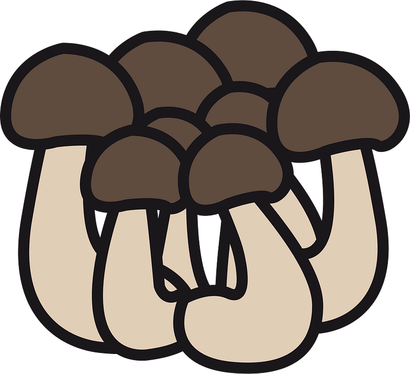 Shimeji mushroom