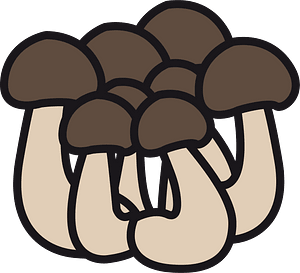 Shimeji mushroom