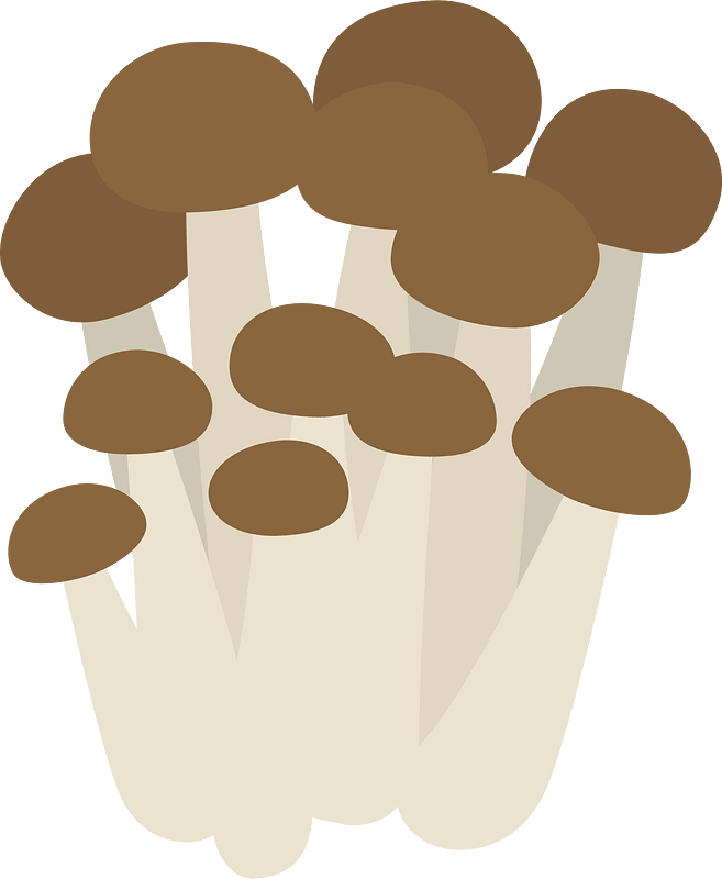 Shimeji mushroom