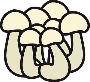 Shimeji mushroom