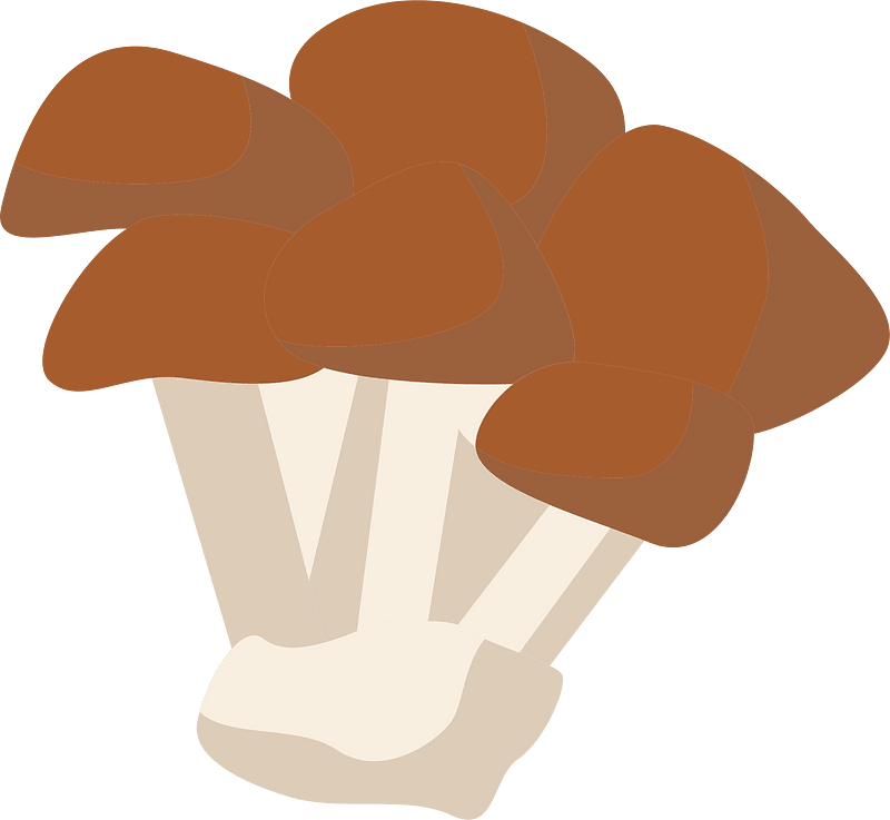 Shimeji mushroom