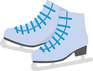 Skating shoes
