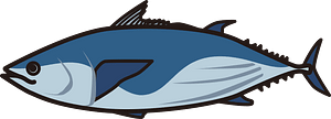 Skipjack tuna