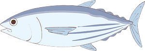 Skipjack tuna