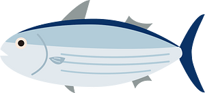 Skipjack tuna
